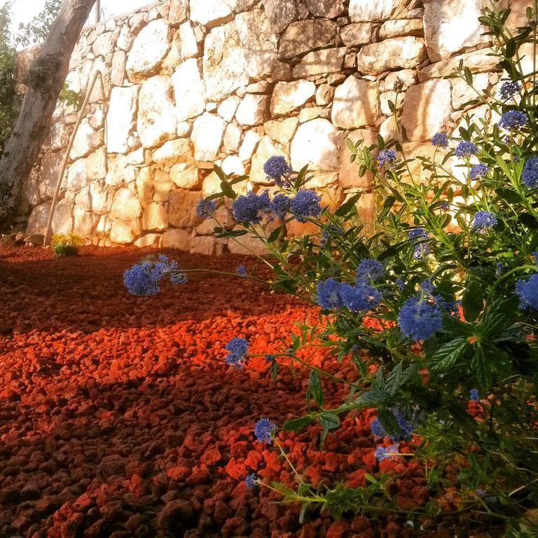 איטרי B&B Casacapraia מראה חיצוני תמונה